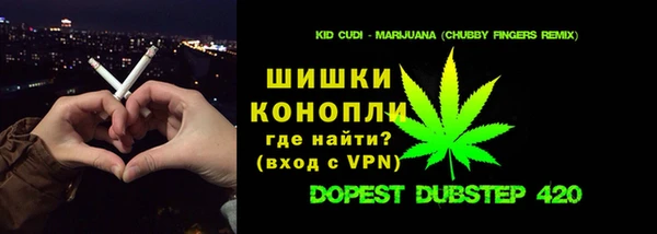 твердый Богородицк