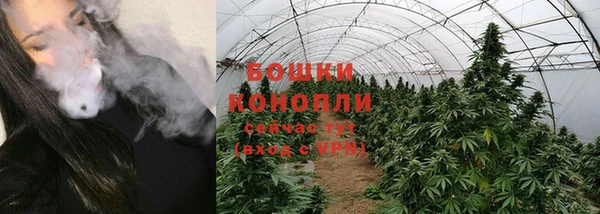 СК Богородск