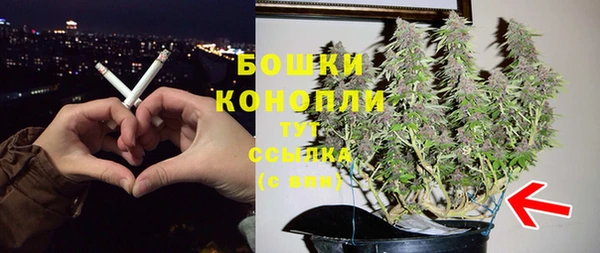 бошки Богданович