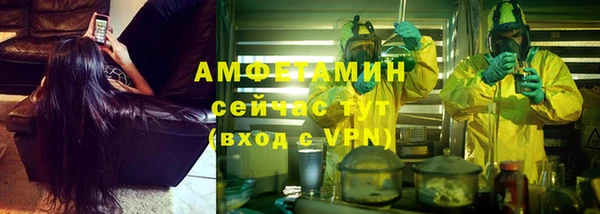 твердый Богородицк