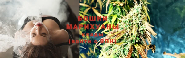 СК Богородск