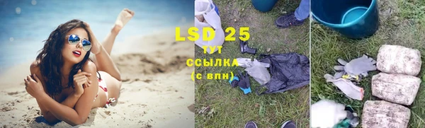 твердый Богородицк