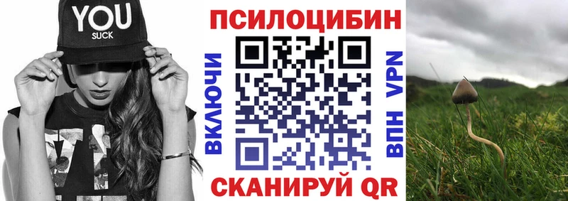 Купить где  Боровичи  Галлюциногенные грибы Magic Shrooms 