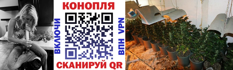 Канабис индика  Купить где  Боровичи 